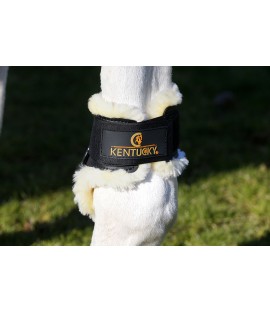 Protège-boulets mouton jeune cheval KENTUCKY